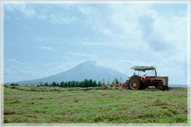 �_�Ƃɏ]�����悤�Ƃ����`����̏ꍇ